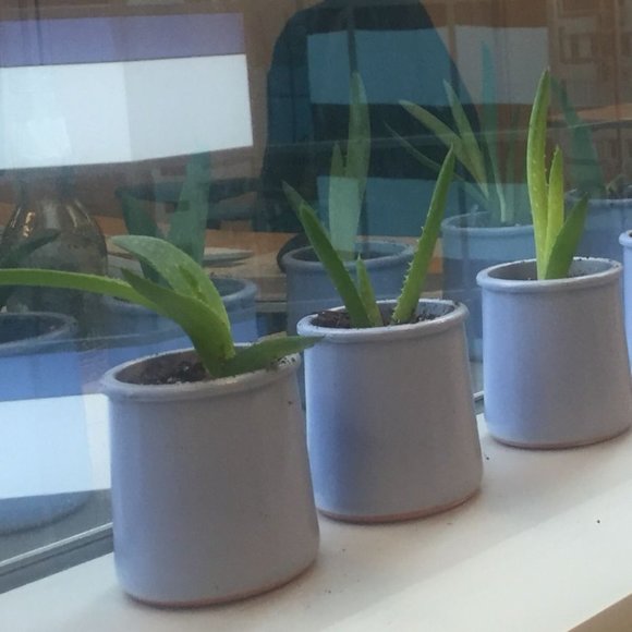 La Fermiére French Glazed Terracotta Pots set of 6 - Picture 14 of 14